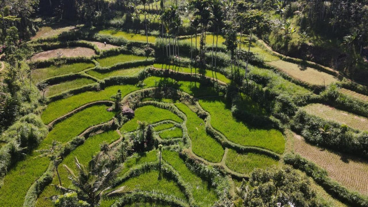 My Home Тетебату Екстериор снимка